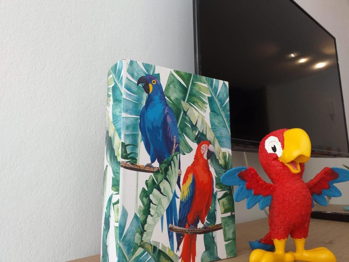 דירות קורלחו Tropical Loft מראה חיצוני תמונה