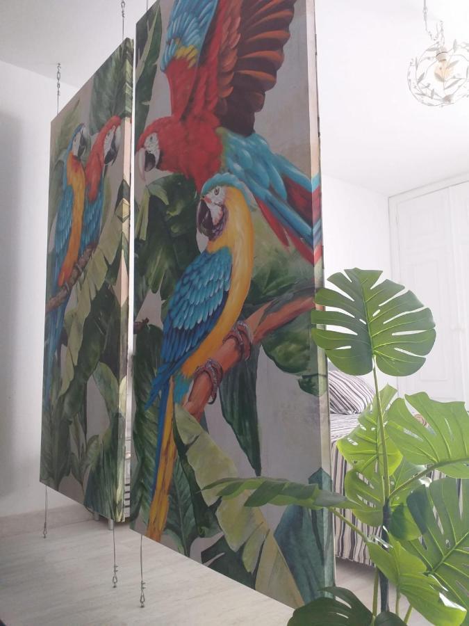 דירות קורלחו Tropical Loft מראה חיצוני תמונה